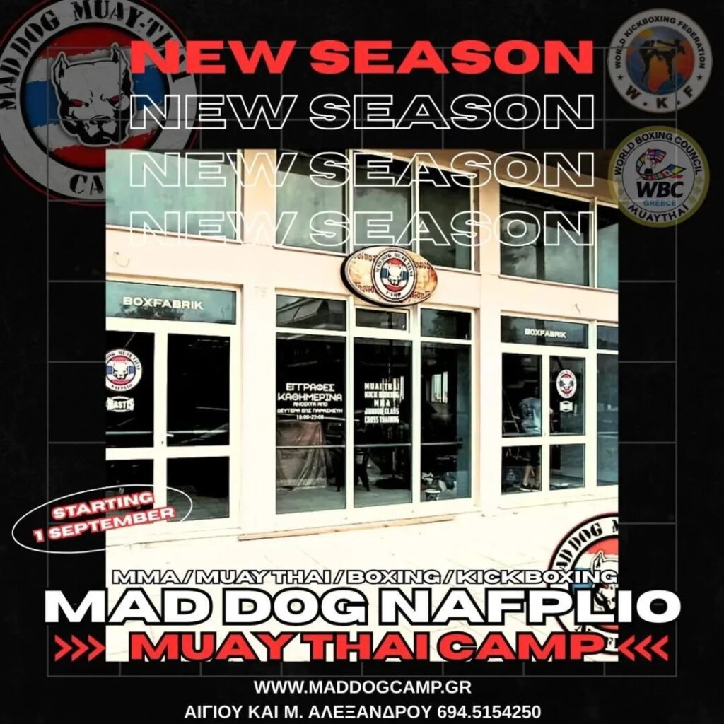 539045637 1364629325663576 2320229725807628854 n