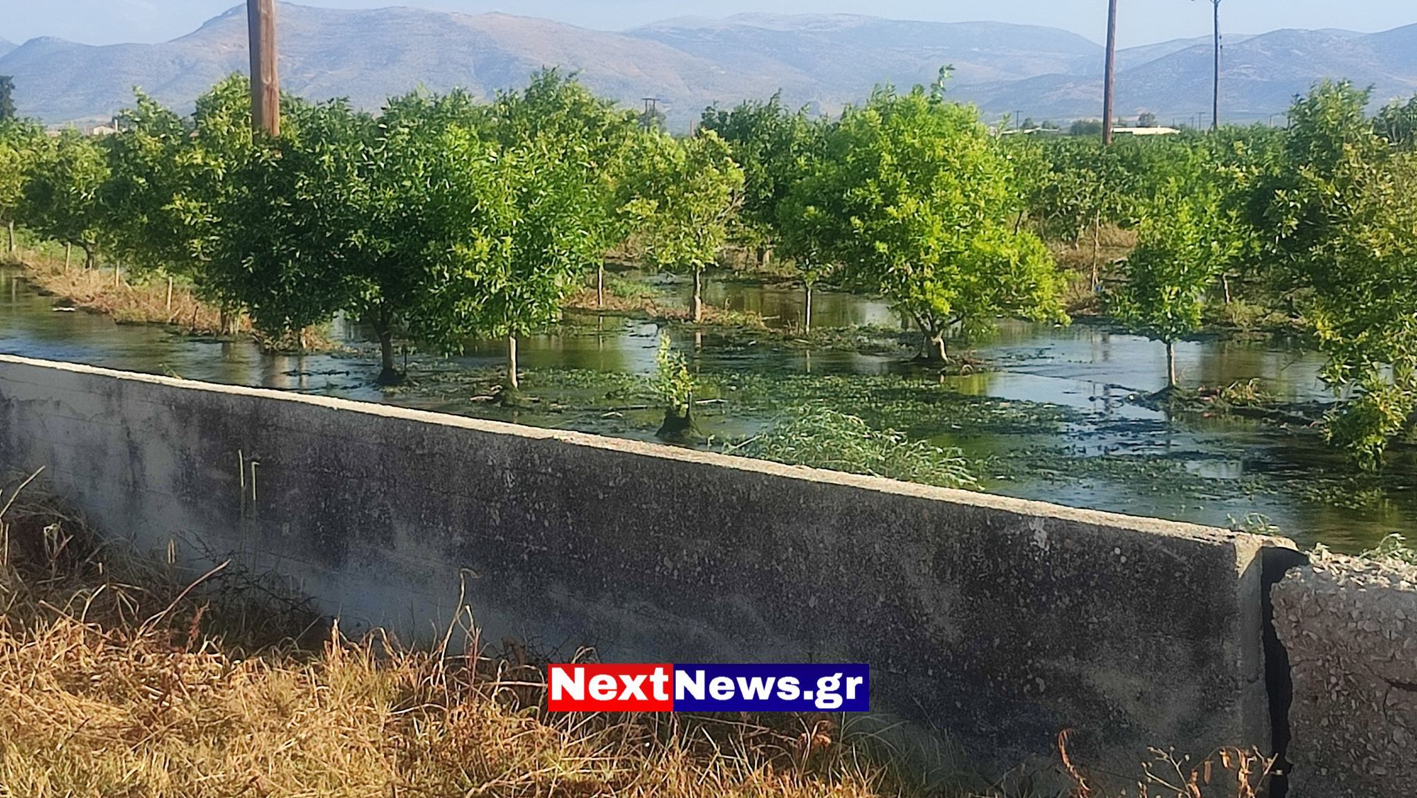 554683877 10228864431506525 680710262049680693 n