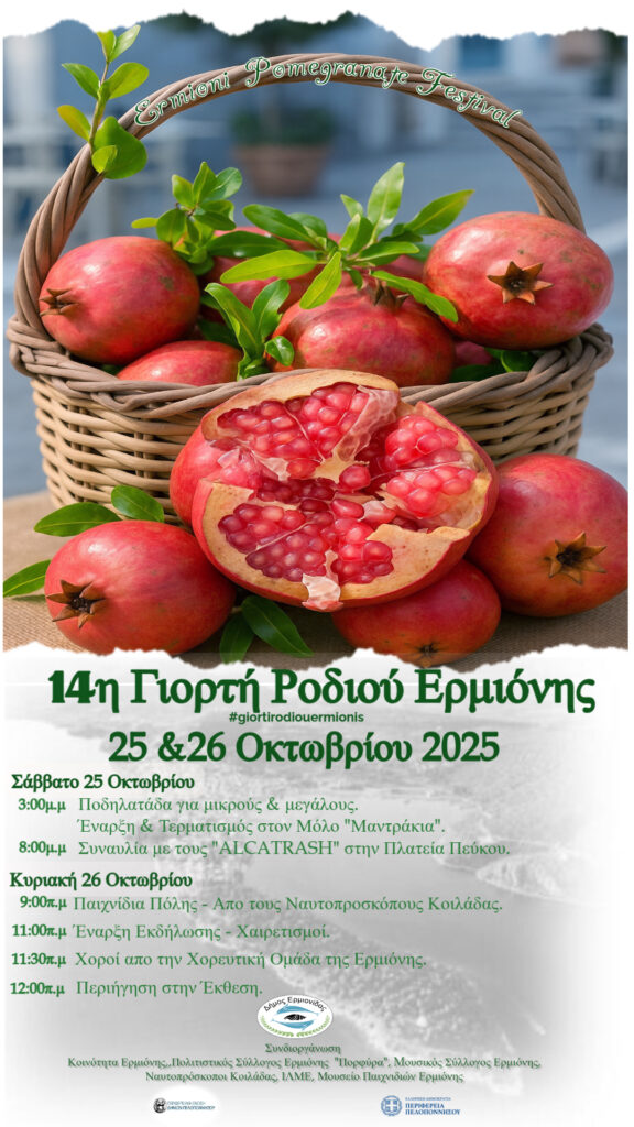 558971024 793384560234634 8790493846124260770 n