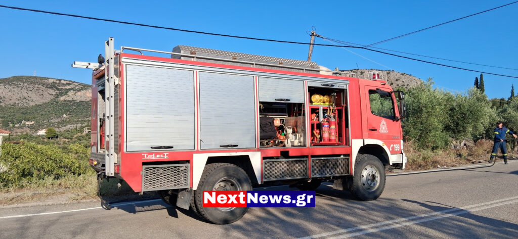 20250810 184851 1024x473