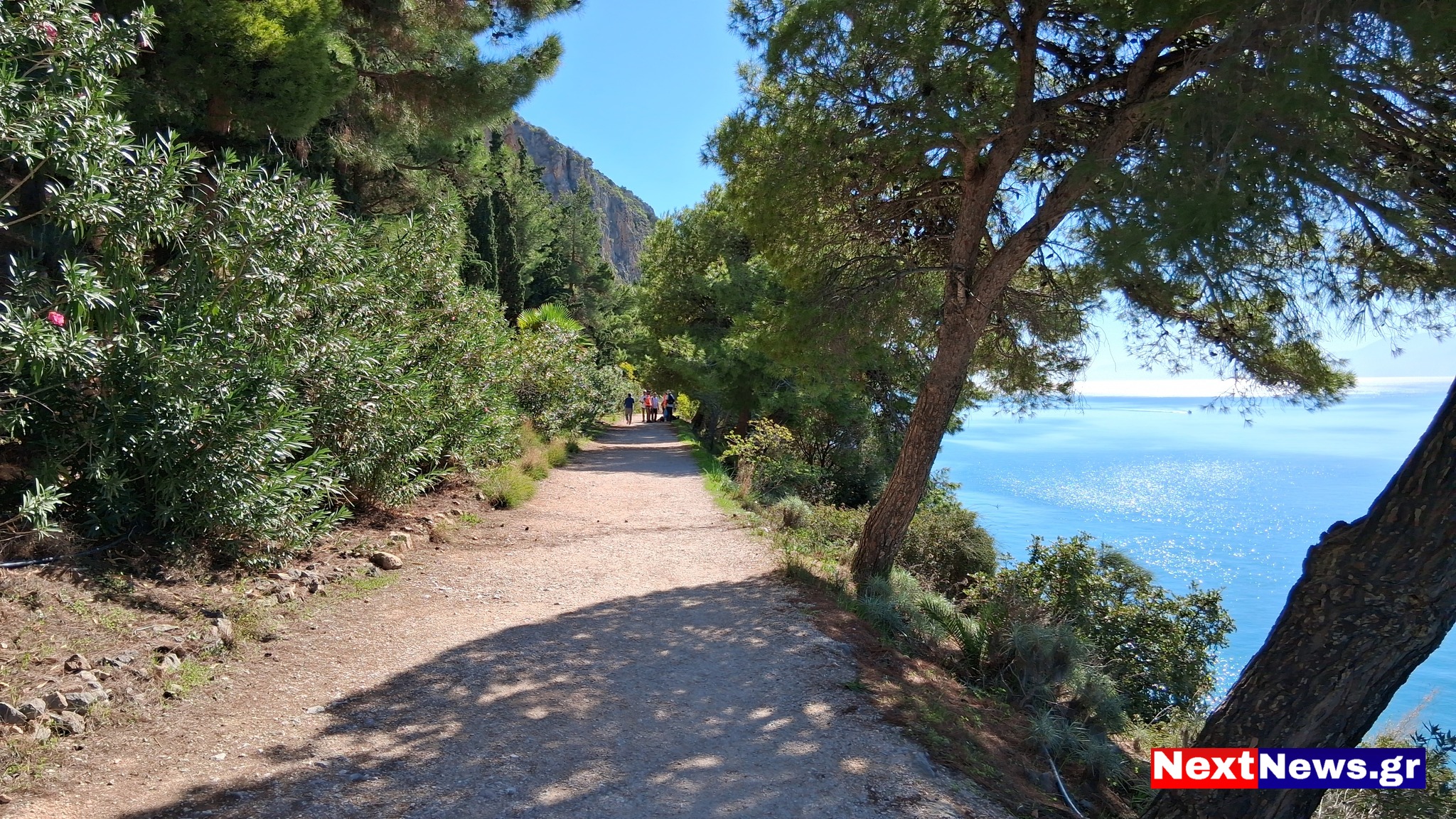 571495530 1172826591480718 6914465158664360268 n