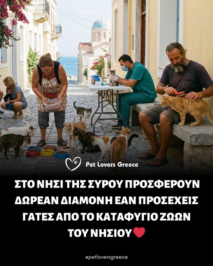 590805460 17973294959973446 984977661444307702 n