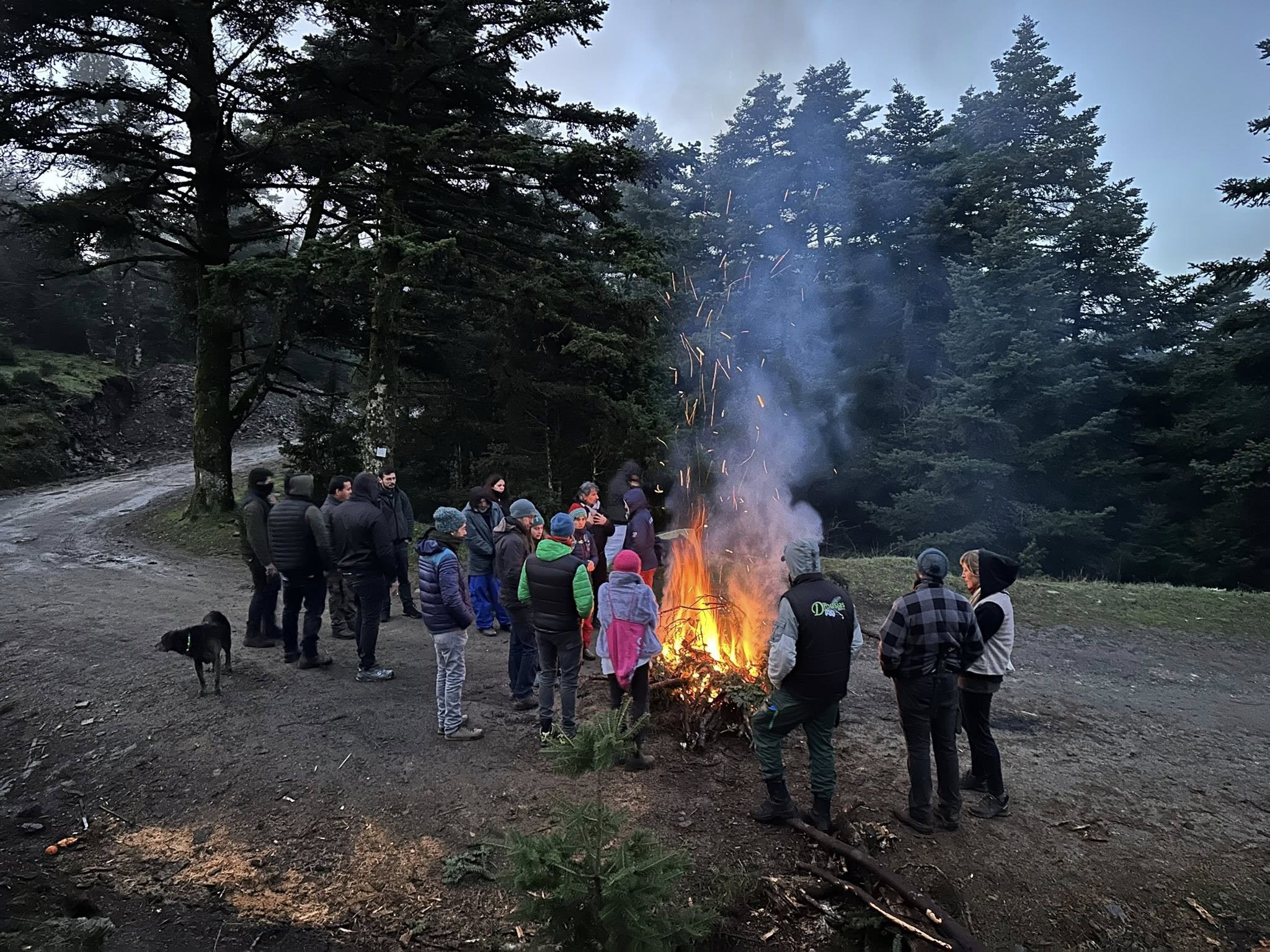 606470575 122277854870195048 4986949206309354359 n