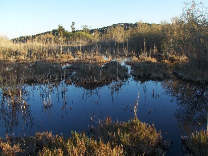 465037532 122104307258587288 8943976193561241615 n