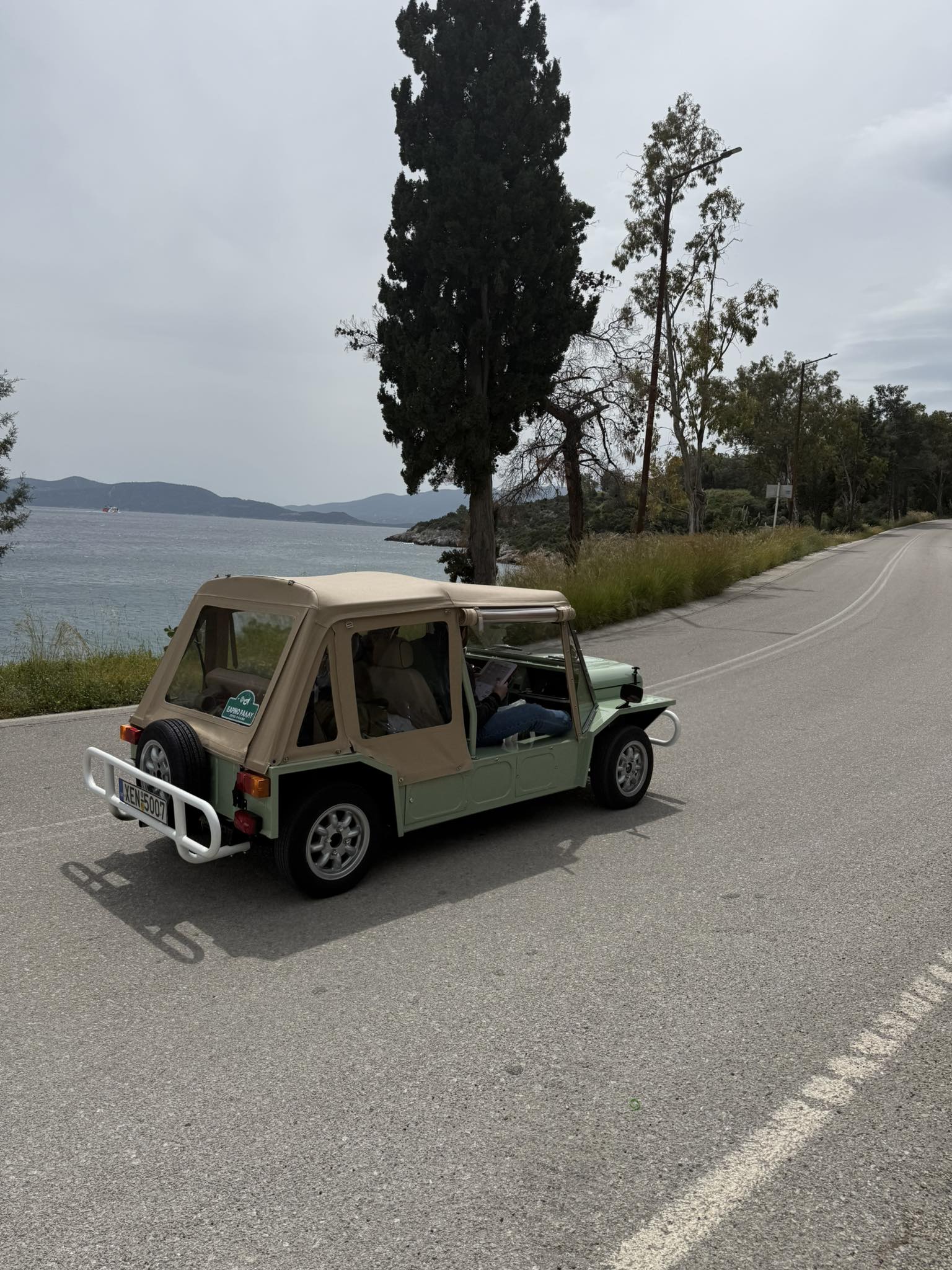 672657279 1594286429211648 1652918167372835950 n