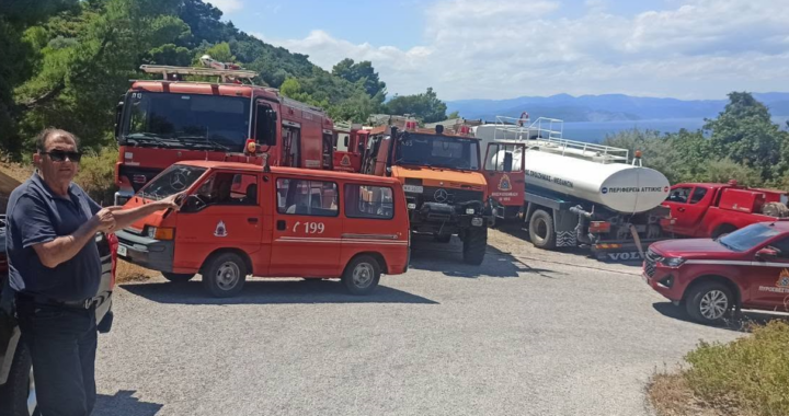 Άμεση κινητοποίηση για πυρκαγιά σε δύσβατη περιοχή των Μεθάνων