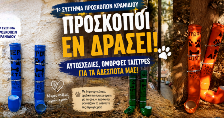 Πρώτο Σύστημα Προσκόπων Κρανιδίου: Αυτοσχέδιες και όμορφες ταΐστρες για τα αδέσποτα της περιοχής